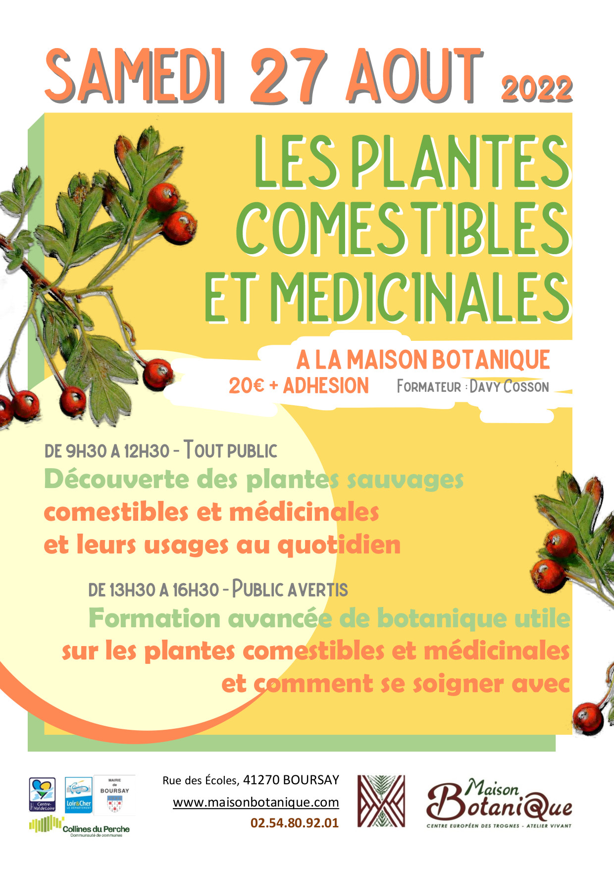 STAGE : Formation avancée de botanique utile sur les plantes comestibles et médicinales et comment se soigner avec.