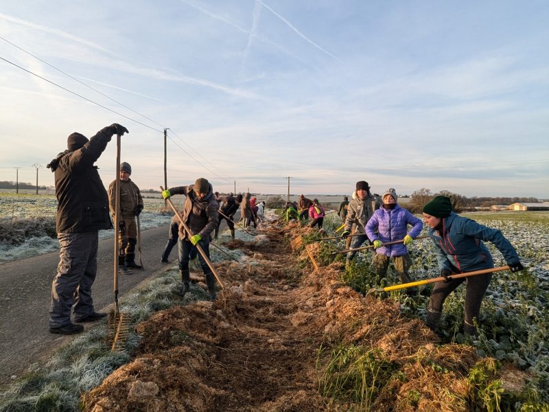 Plantation de haie champêtre