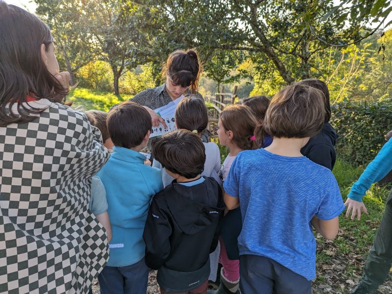 Animations pour tous