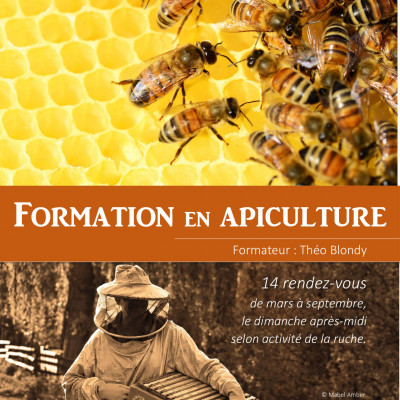 Formation en Apiculture