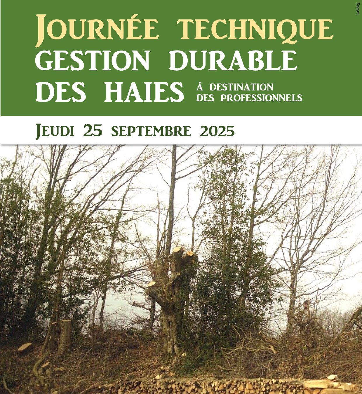 JOURNEE TECHNIQUE « Gestion durable des haies »