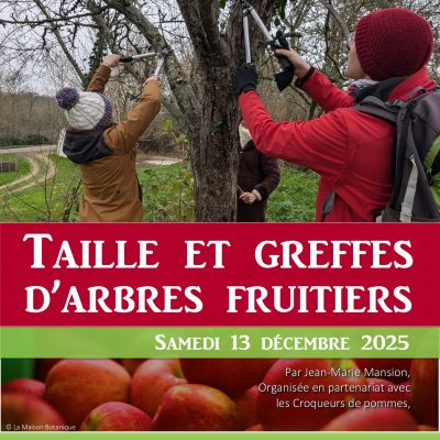 Greffe et taille d'arbres fruitiers