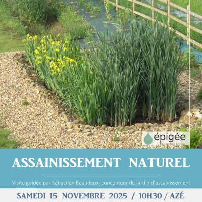 Visite d'une phytoépuration et entretien collectif à Azé