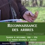 Reconnaissance des arbres en hiver