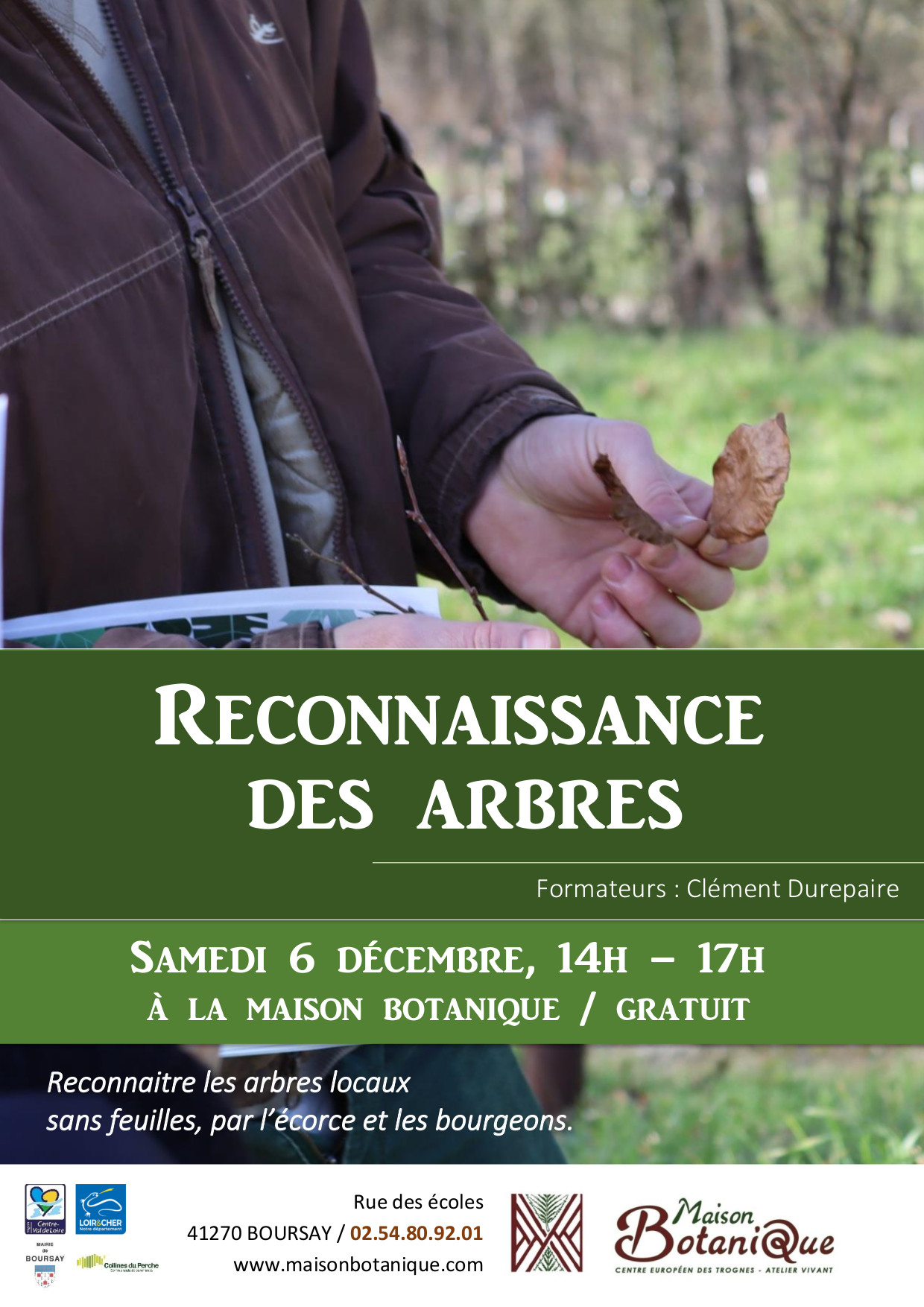 Reconnaissance des arbres en hiver