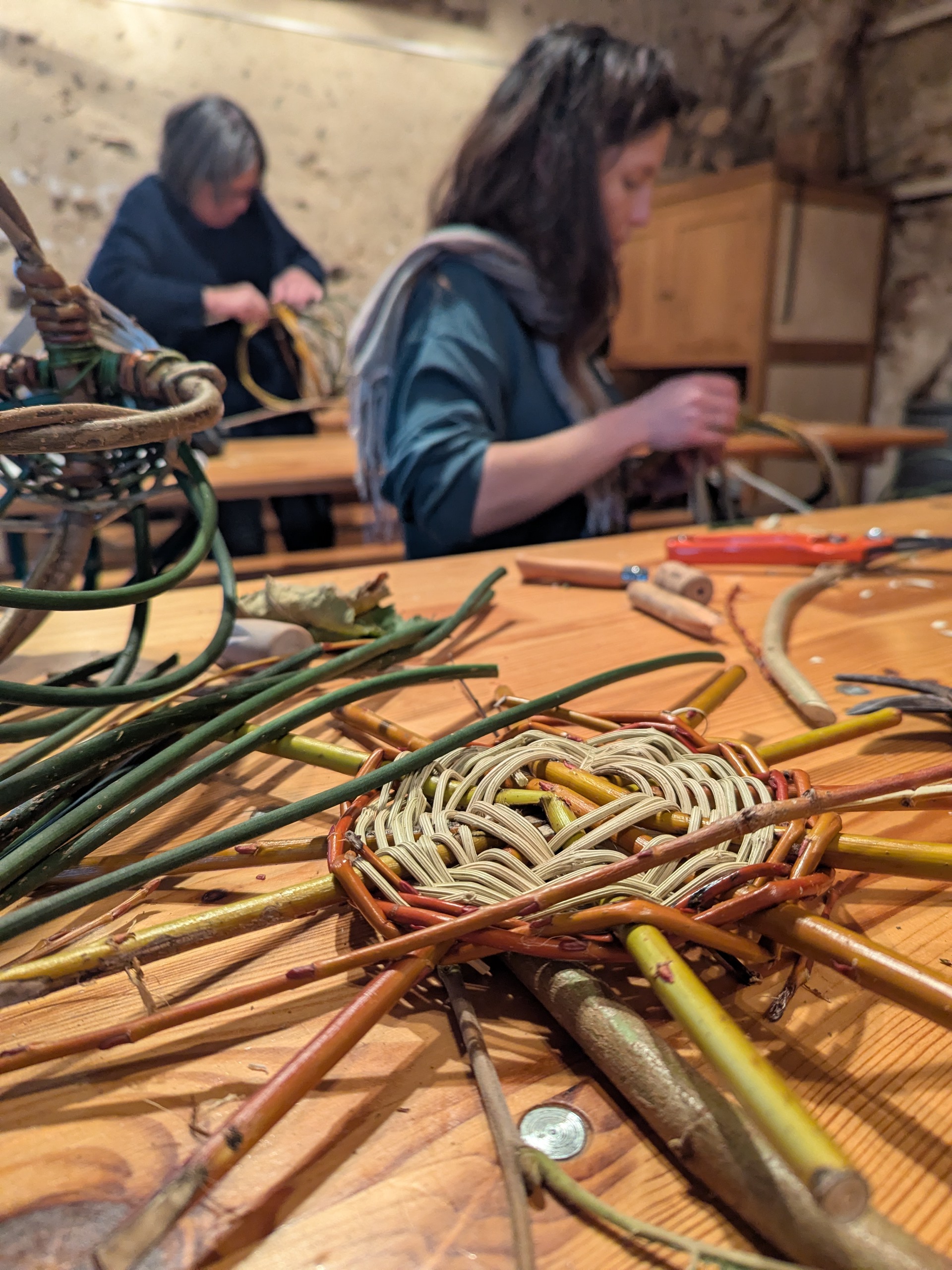 STAGE vannerie sauvage : accroche murale