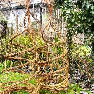 Stage vannerie sauvage de jardin