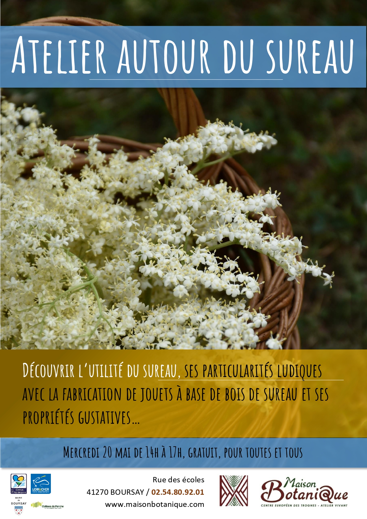 Atelier autour du sureau