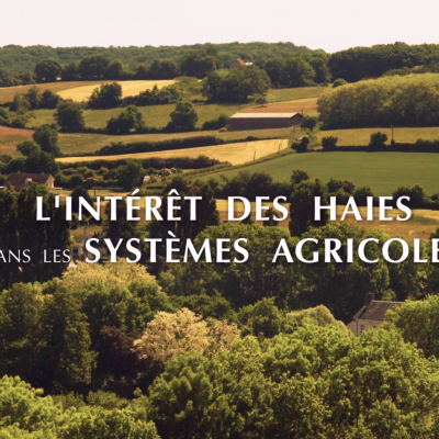 L'intérêt des haies