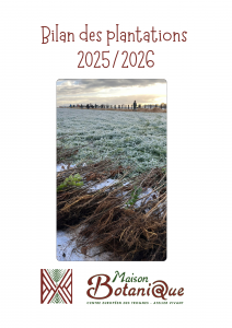 Bilan des plantations