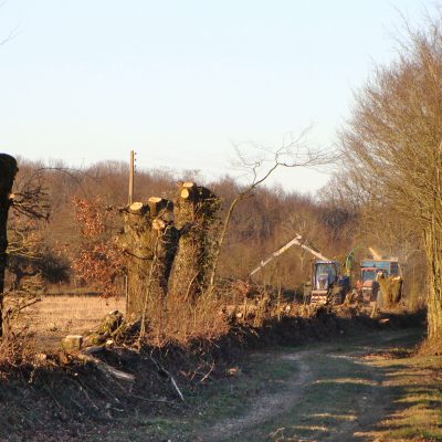 une gestion durable des haies champêtres