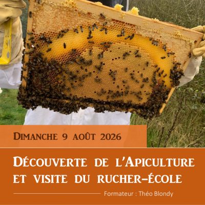 Visite du rucher école / découverte de l'Apiculture