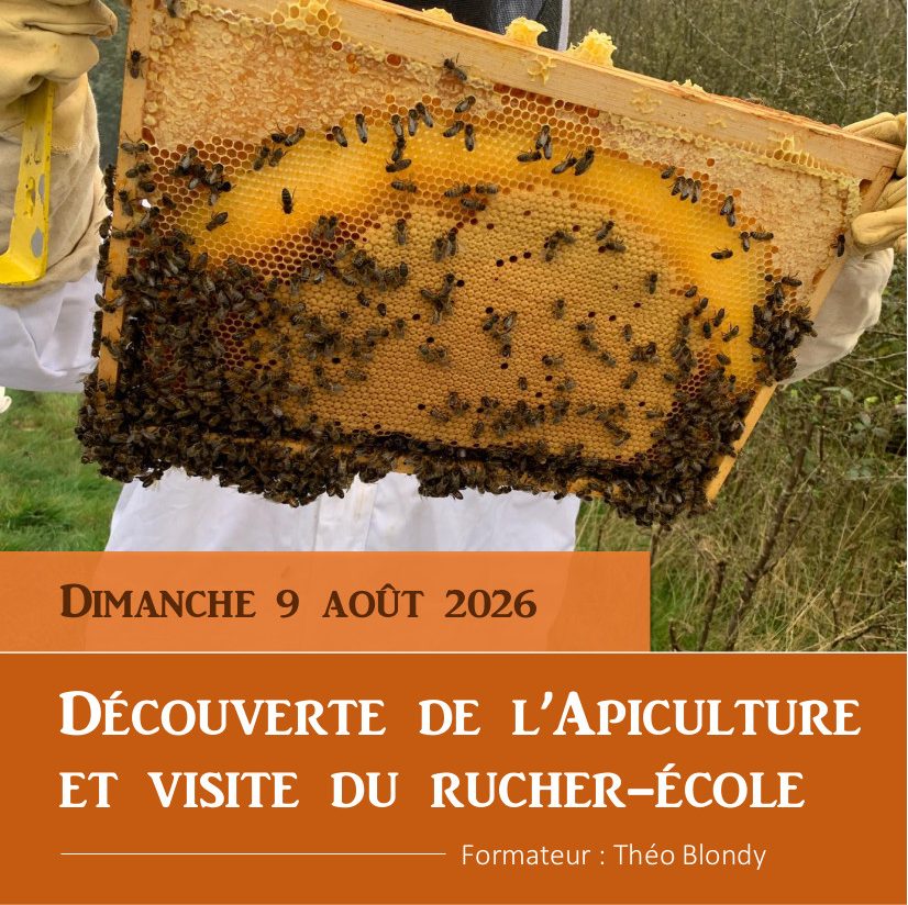 Visite du rucher école / découverte de l'Apiculture