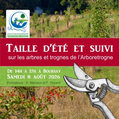 Taille d’été et suivi sur les arbres et trognes de l’Arboretrogne
