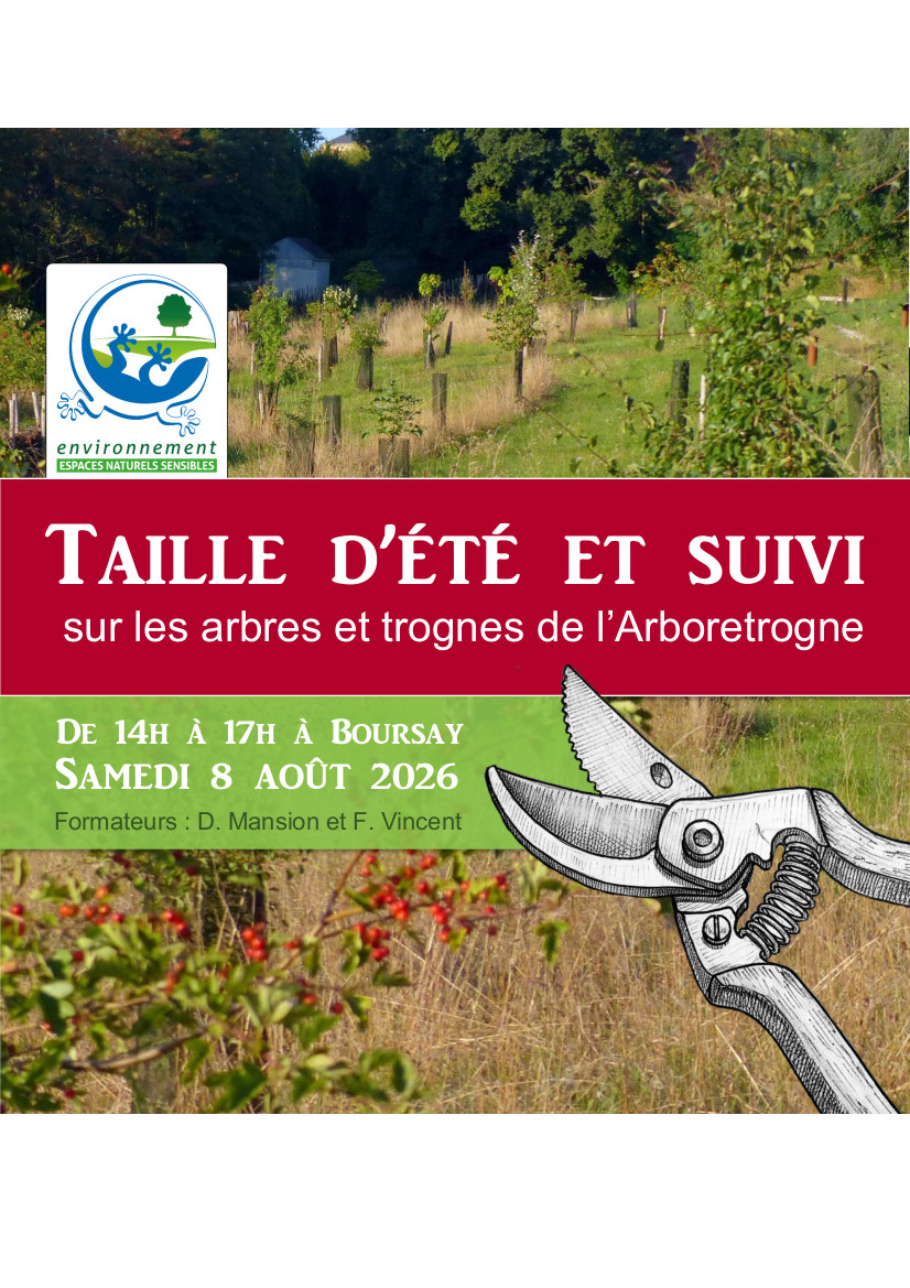 Taille d’été et suivi sur les arbres et trognes de l’Arboretrogne