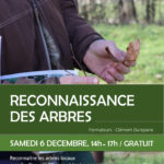SORTIE, Reconnaissance des arbres