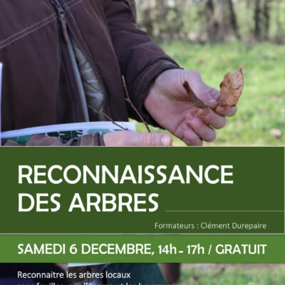 SORTIE, Reconnaissance des arbres