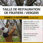 STAGE / Entretien collectif, Taille de restauration des fruitiers
