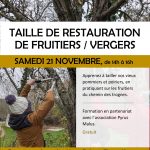 STAGE / Entretien collectif, Taille de restauration des fruitiers