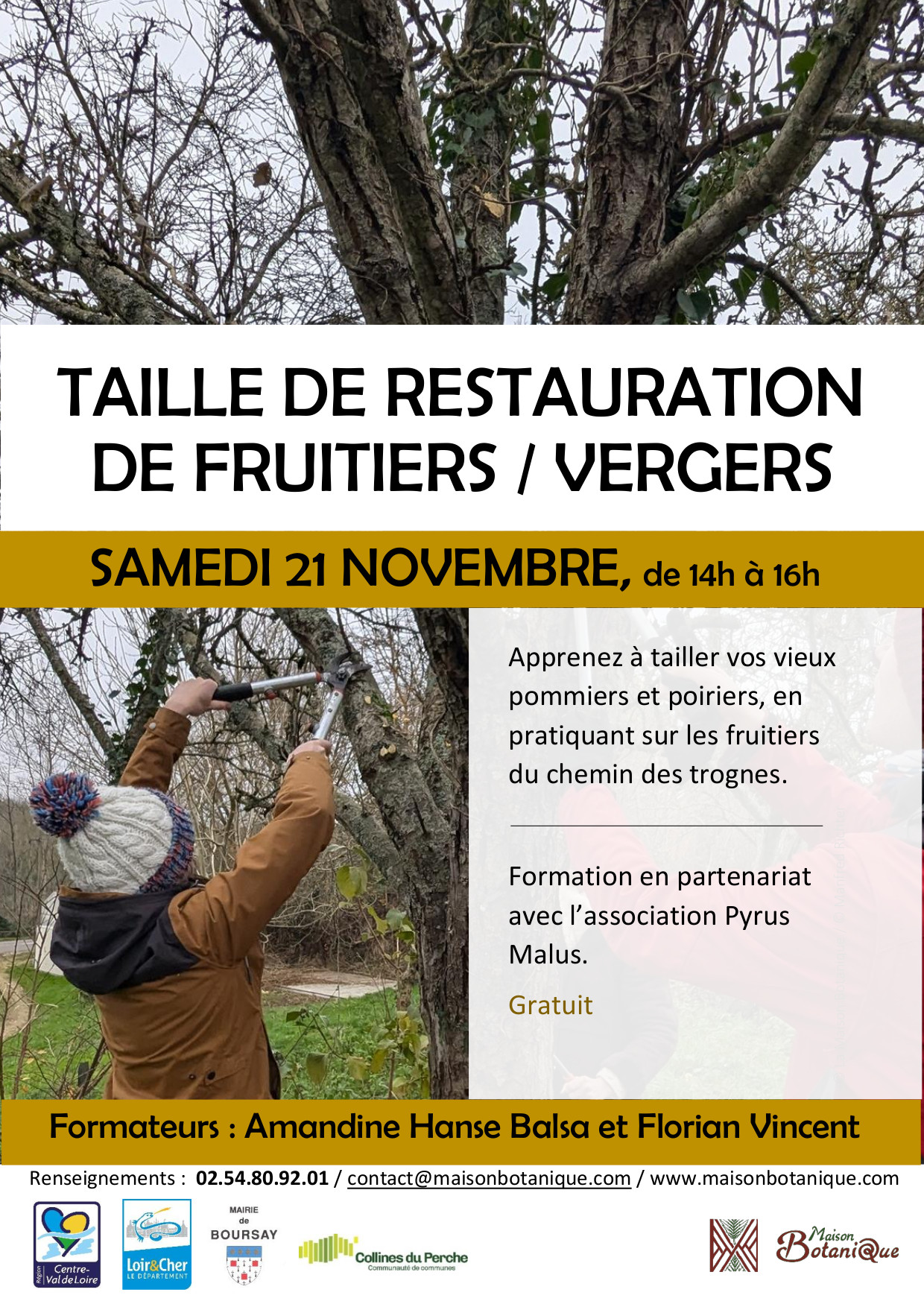 STAGE / Entretien collectif, Taille de restauration des fruitiers