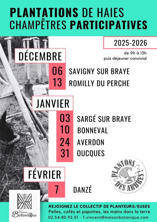 plantations saison 25-26 new